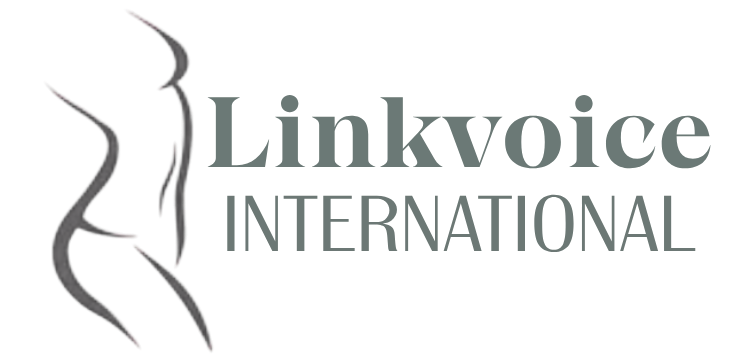 linkvoiceinternational.com
